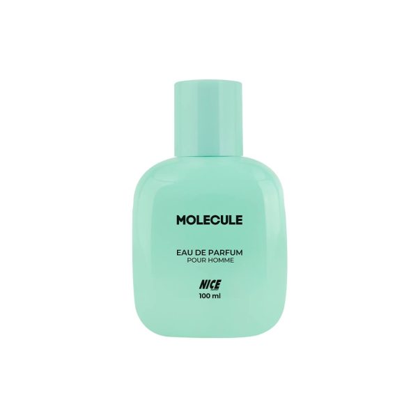 عطر استندی مکعبی نایس پاپت مدل Molecule