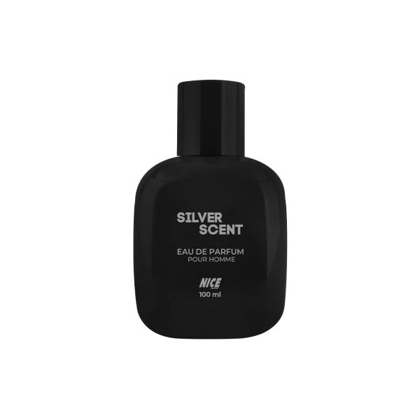 ادوپرفیوم مردانه استندی مکعبی نایس پاپت مدل Silver Scent