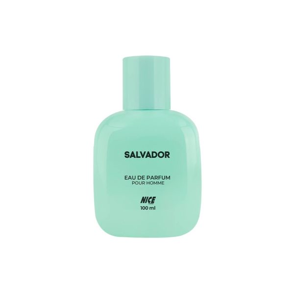 ادوپرفیوم مردانه استندی مکعبی نایس پاپت مدل Salvador