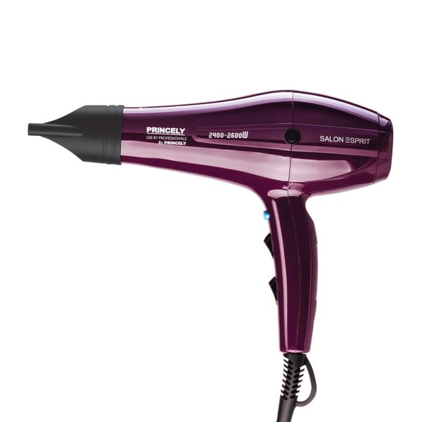 سشوار پرنسلی مدل PR250AT